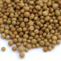 Osmocote Pellets (1 Tbsp)