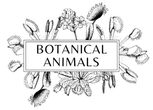 Botanical Animals